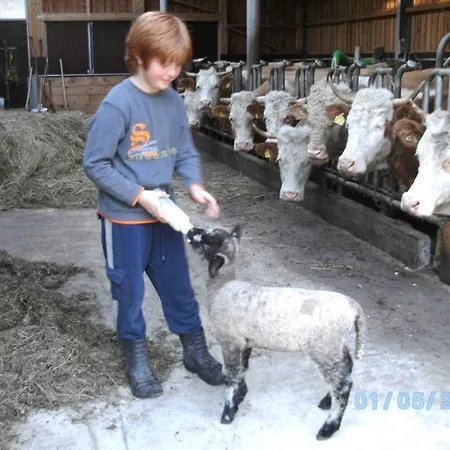 Sulzenhof Inkl. Chiemgaukarte Farm stay *