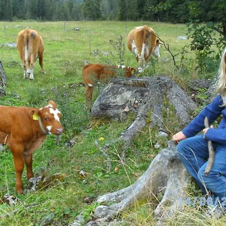 Farm stay Sulzenhof Inkl. Chiemgaukarte *